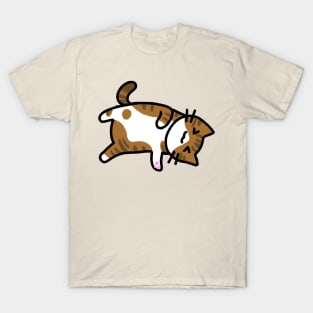 Cinnamon - Brown + White Tabby T-Shirt